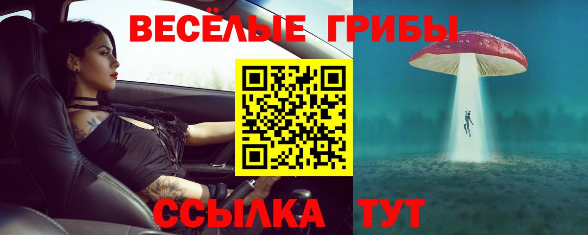 где найти наркотики  Вход с VPN  Кушва  Галлюциногенные грибы мицелий 